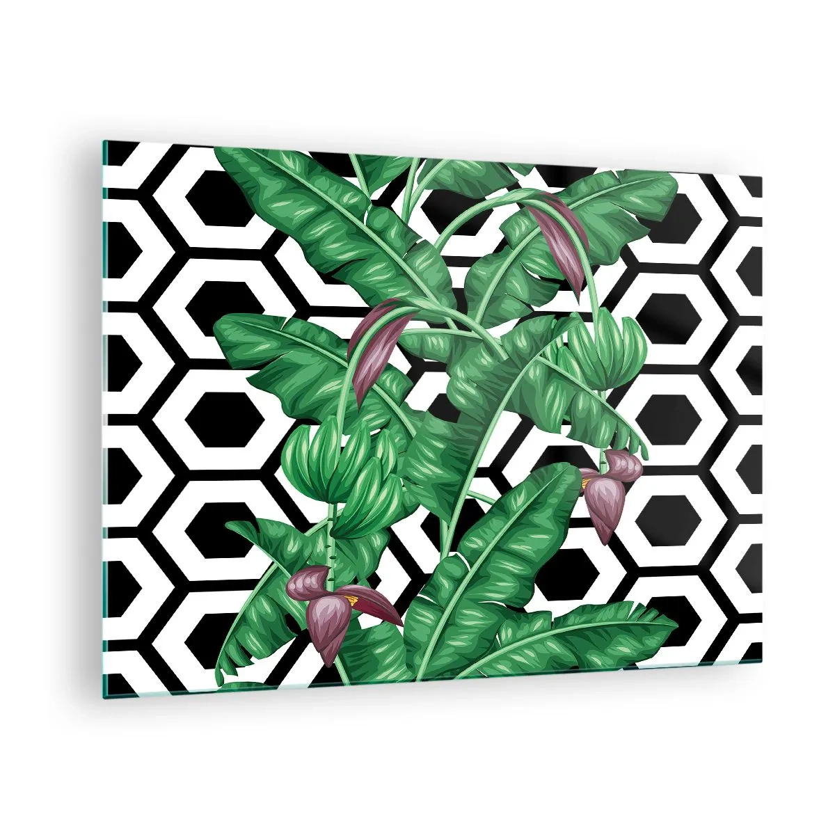 Billede på glas - Tropiske blade og blomster mod en sort og hvid geometrisk mønsterbaggrund - 70x50cm - Symmetrisk komposition fra naturen - Moderne vægdekoration til stue og soveværelse ARTTOR