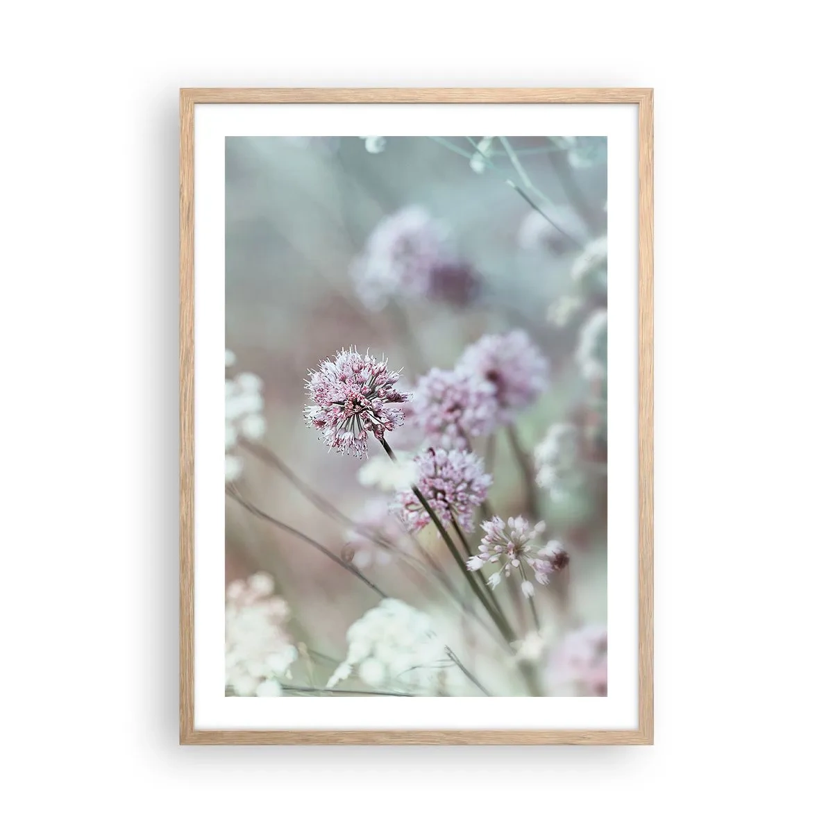 Plakat i ramme af lyst egetræ - Søde filigranurter - 50x70 cm