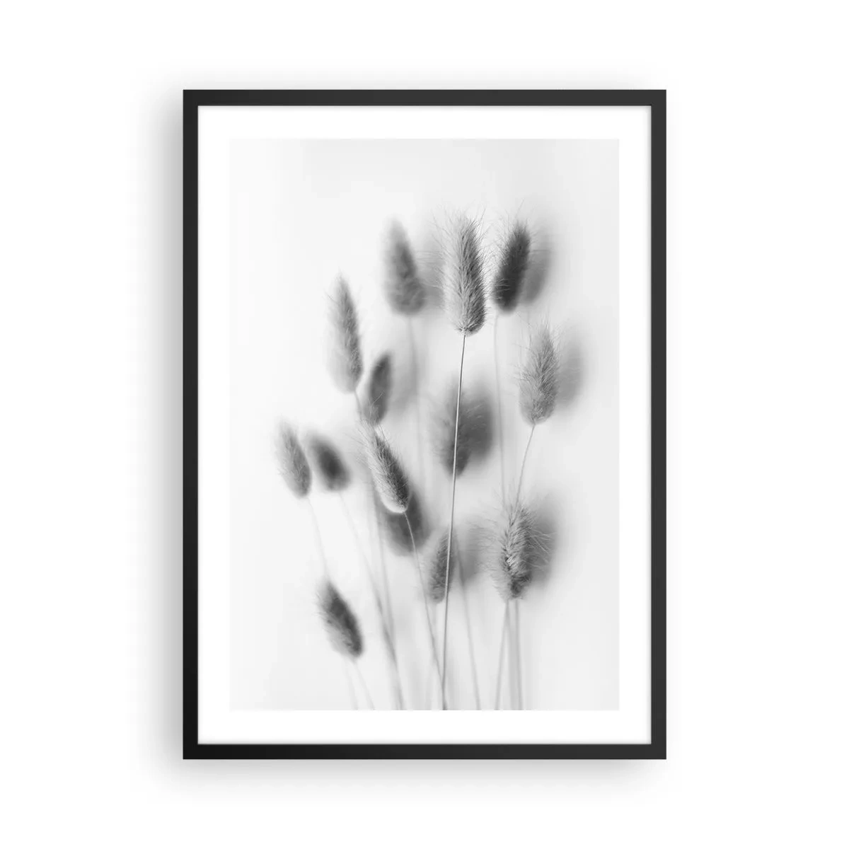 Plakat i sort ramme - Sorte og hvide fluffy græsører - 50x70cm - Dens bløde græs - Moderne vægdekoration til stue og soveværelse ARTTOR