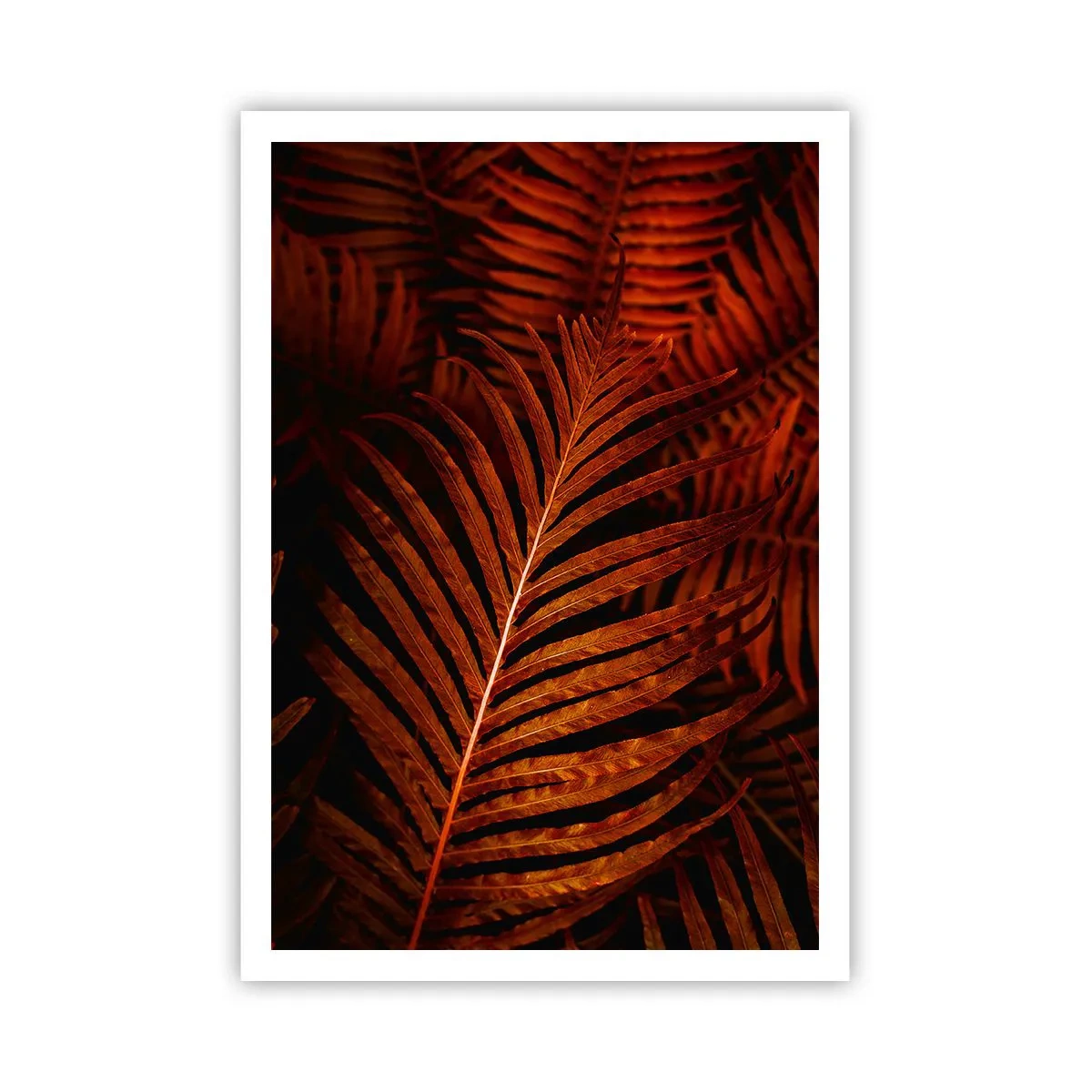 Plakat - Livets varme - 70x100 cm