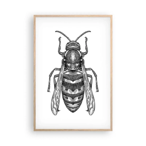 Plakat i ramme af lyst egetræ - Fra en insektplanet - 61x91 cm