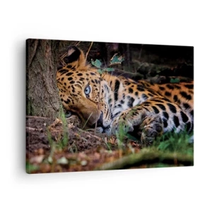 Lærredstryk - Billede på lærred - En leopard ligger i skyggen af træer - 70x50cm - Stol på mig - Moderne vægdekoration til stue og soveværelse ARTTOR
