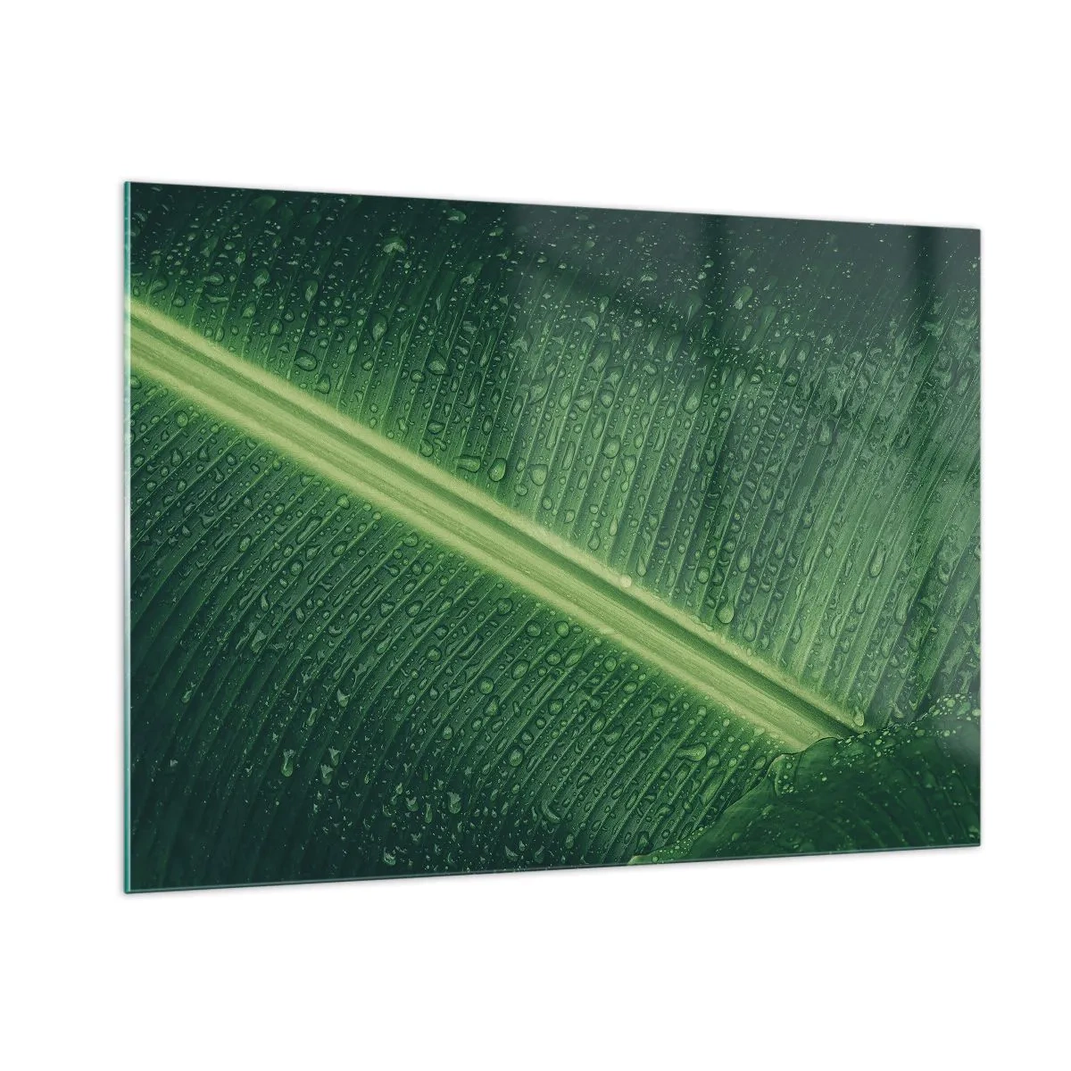 Billede på glas - Grøn struktur - 100x70 cm