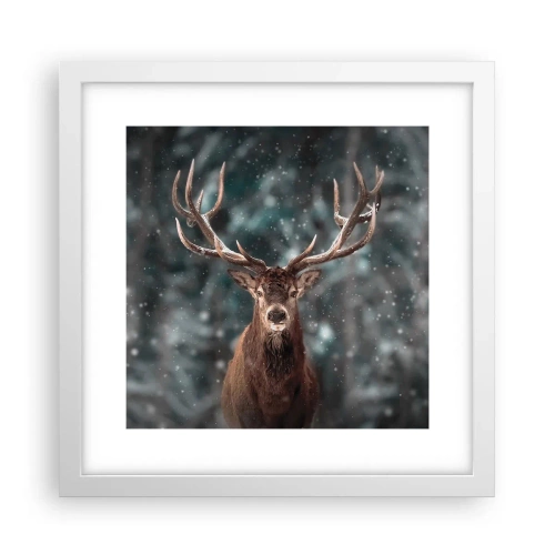 Plakat i hvid ramme - Skovens konge kronet - 30x30 cm