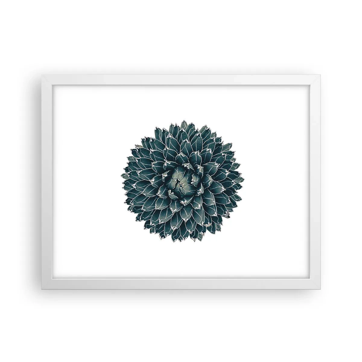 Plakat i hvid ramme - Ørkenstjerne - 40x30 cm
