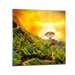 Billede på glas - En snoet sti, en grøn skråning - 50x50 cm