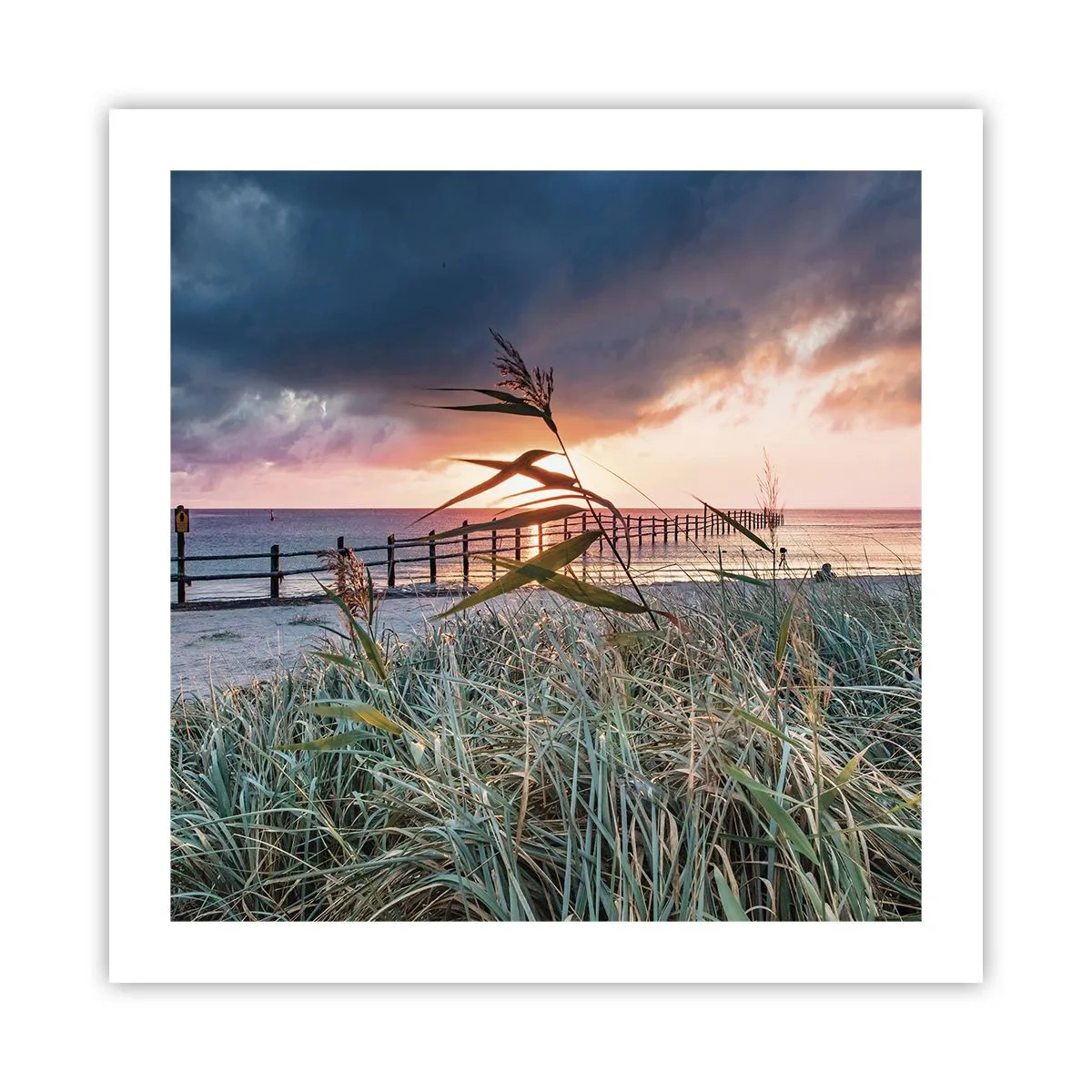 Plakat - Ikke passerer med vinden - 50x50 cm