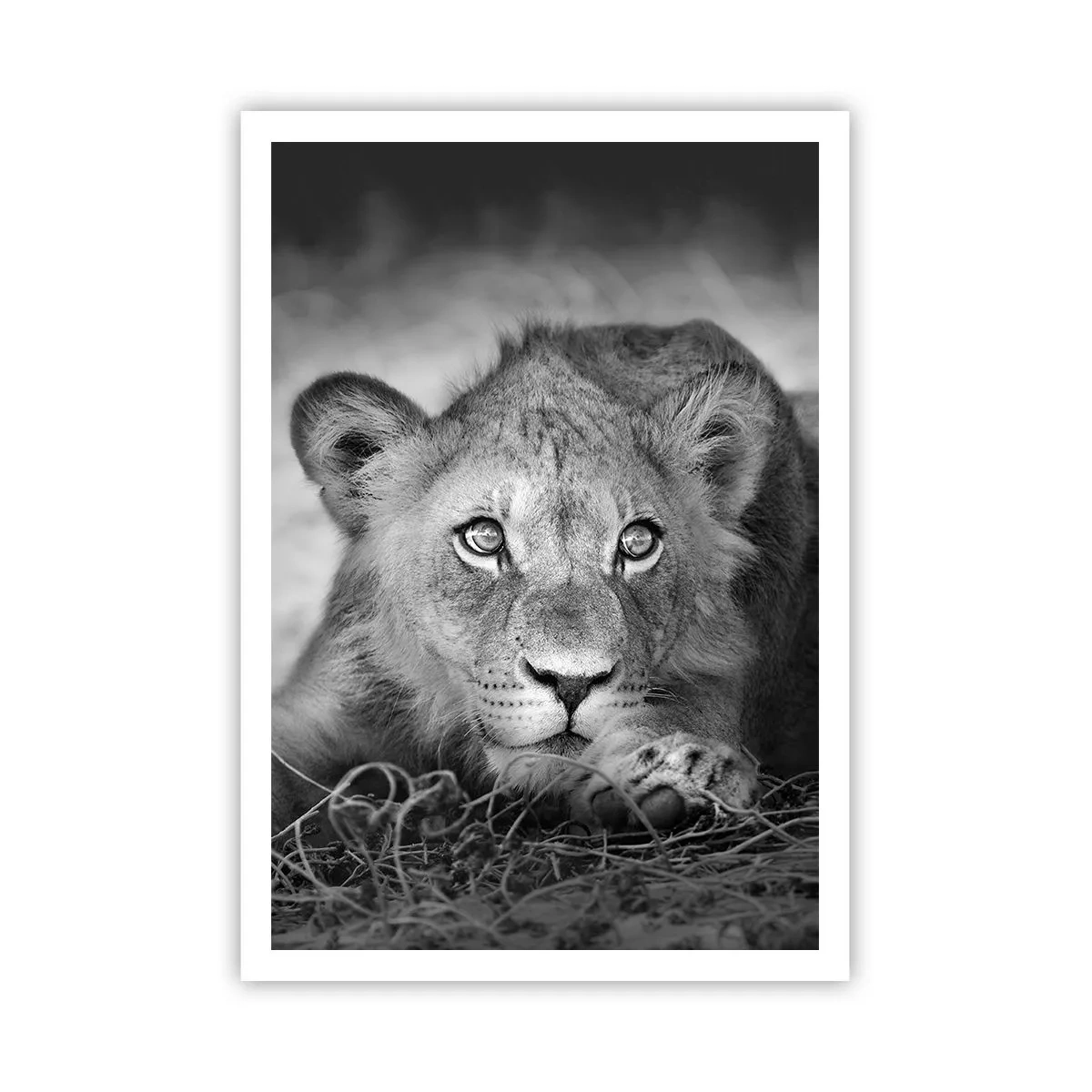 Plakat - Kongelig hvalp - 70x100 cm