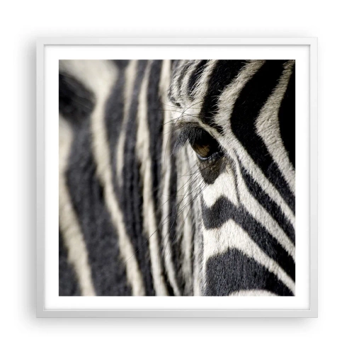 Plakat i hvid ramme - Stribet portræt - 60x60 cm