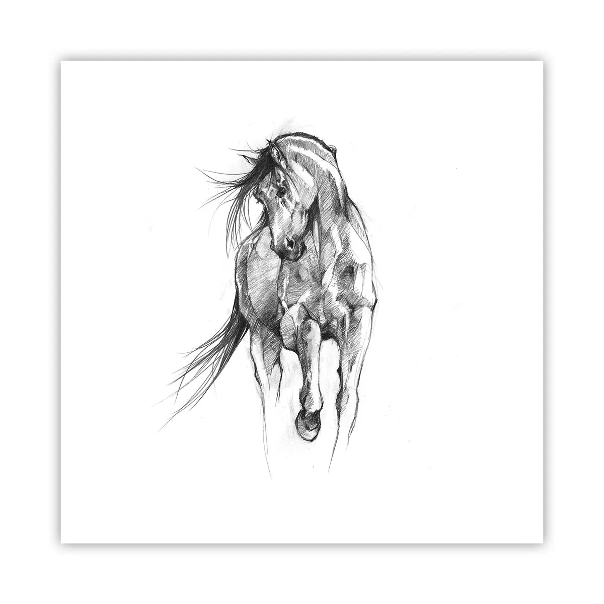Plakat - I en yndefuld trav - 40x40 cm