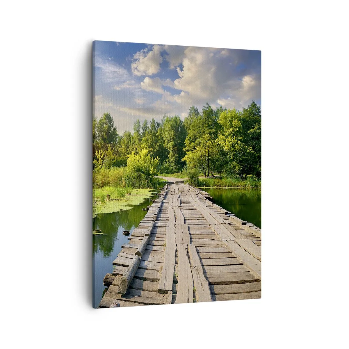 Lærredstryk - Billede på lærred - Sommer, sommer overalt - 50x70 cm