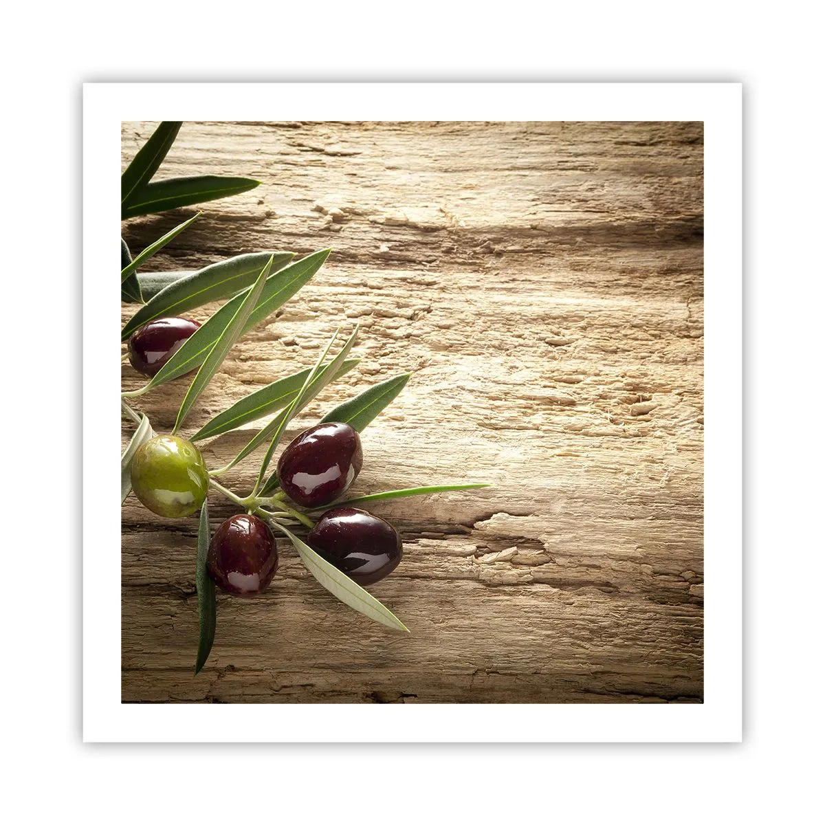 Plakat - Lige fra naturen - 60x60 cm