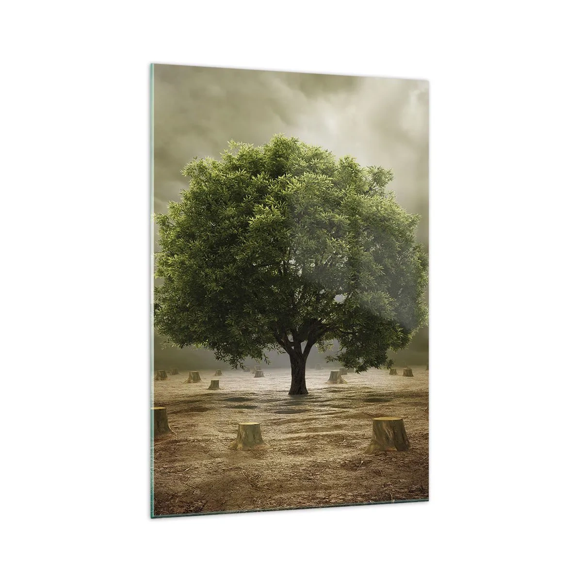 Billede på glas - Alt håb - 70x100 cm