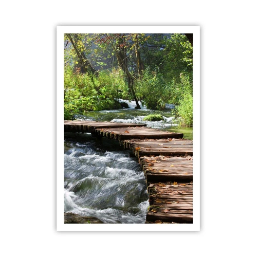 Plakat - Over en skummende kaskade - 70x100 cm