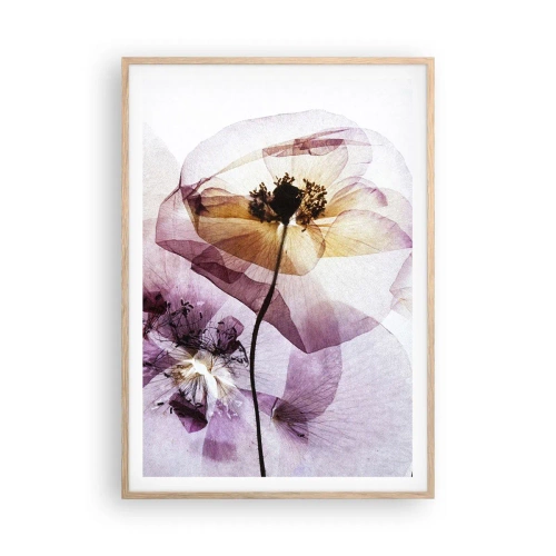 Plakat i ramme af lyst egetræ - Blomsterlegeme dias - 70x100 cm
