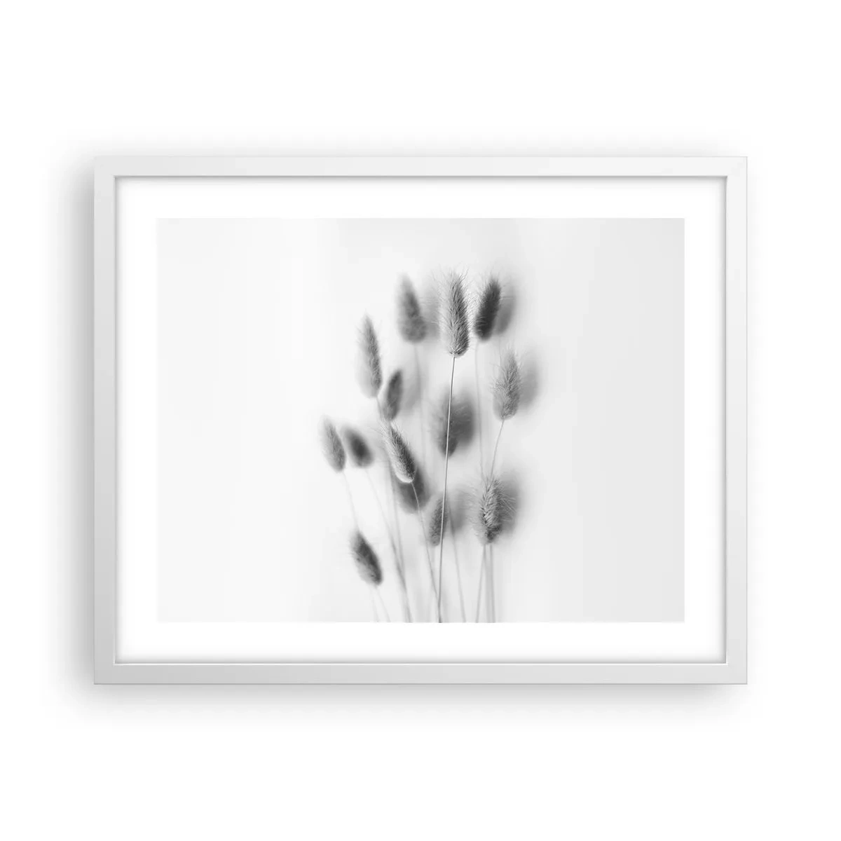 Plakat i hvid ramme - Dens bløde græs - 50x40 cm