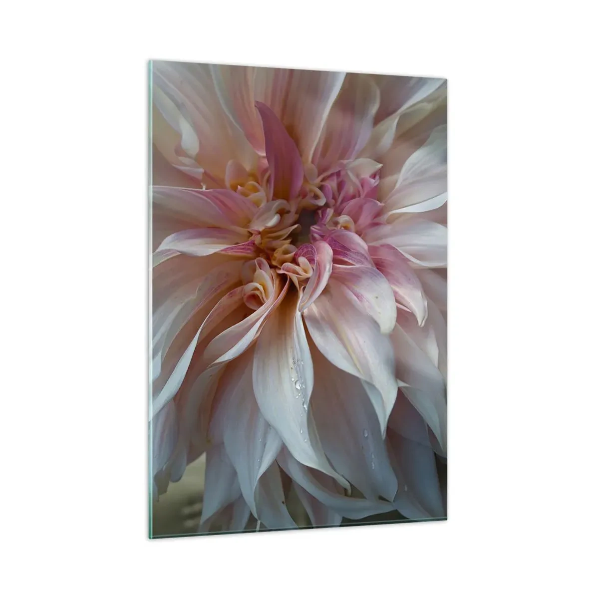 Billede på glas - Blomstrende friskhed - 50x70 cm