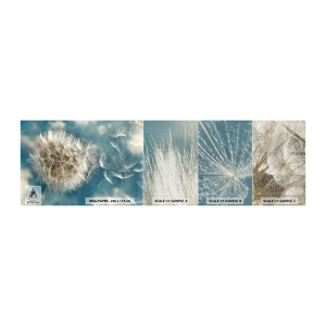 Prøve Fototapet Premium Canvas - En engels åndedræt - Natur, indisk sommer, Stykke - 100x30 cm