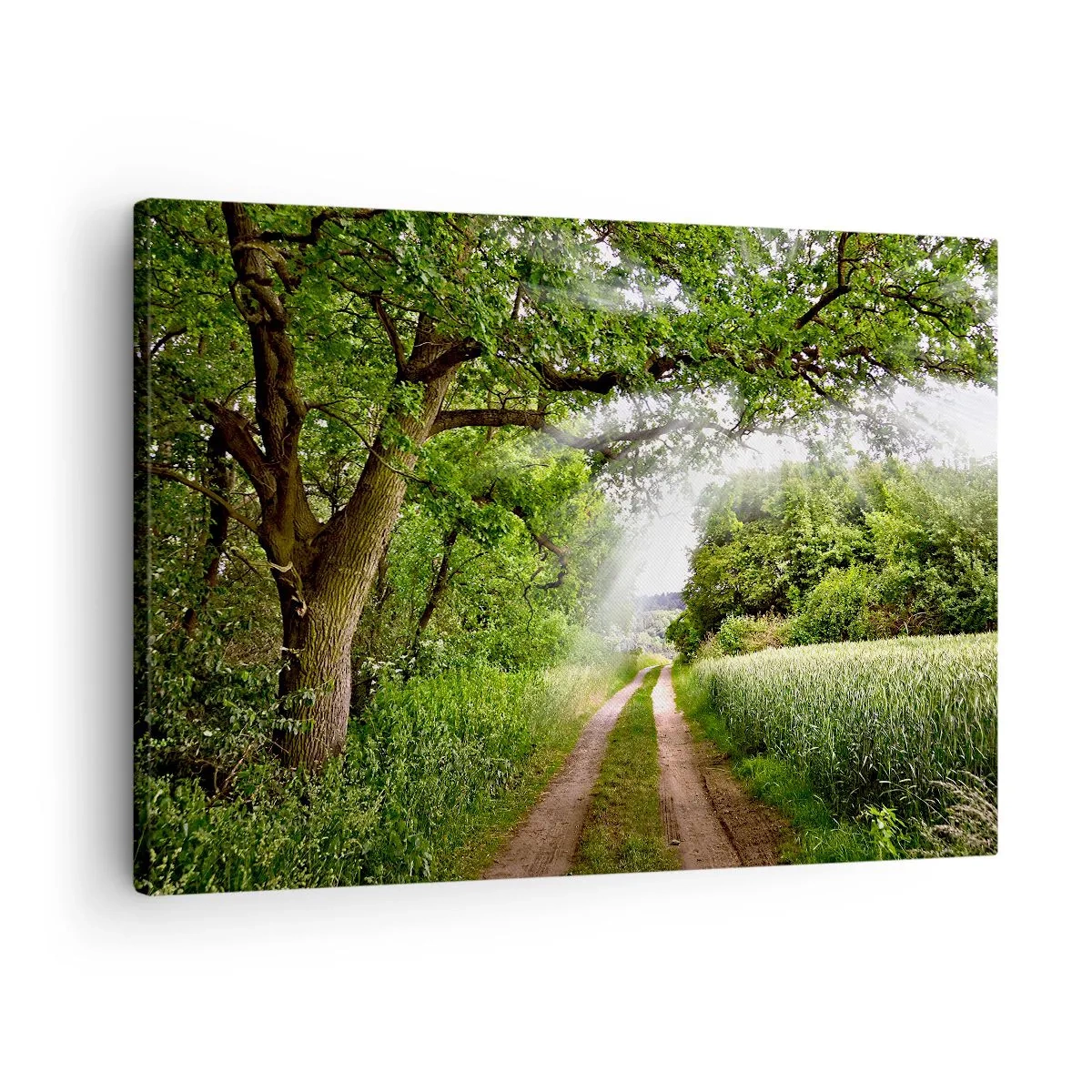 Lærredstryk - Billede på lærred - En grusvej blandt grønne træer og sollys - 70x50cm - Et in Arcadia ego - Moderne vægdekoration til stue og soveværelse ARTTOR