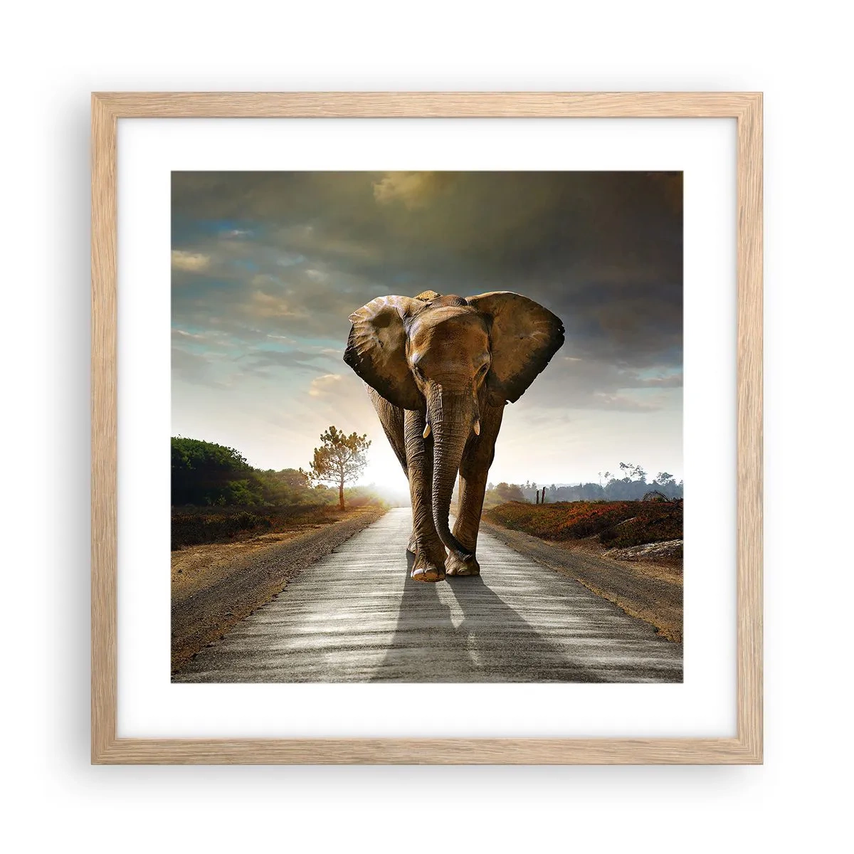 Plakat i ramme af lyst egetræ - Og slet ikke i en porcelænsbutik - 40x40 cm