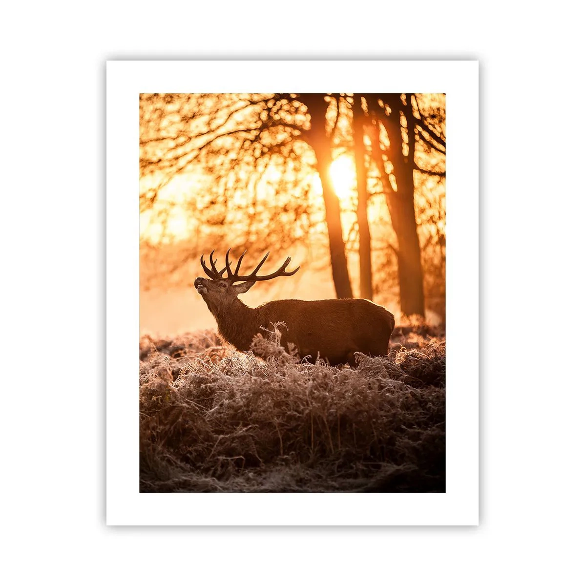 Plakat - En jægerdrøm - 40x50 cm