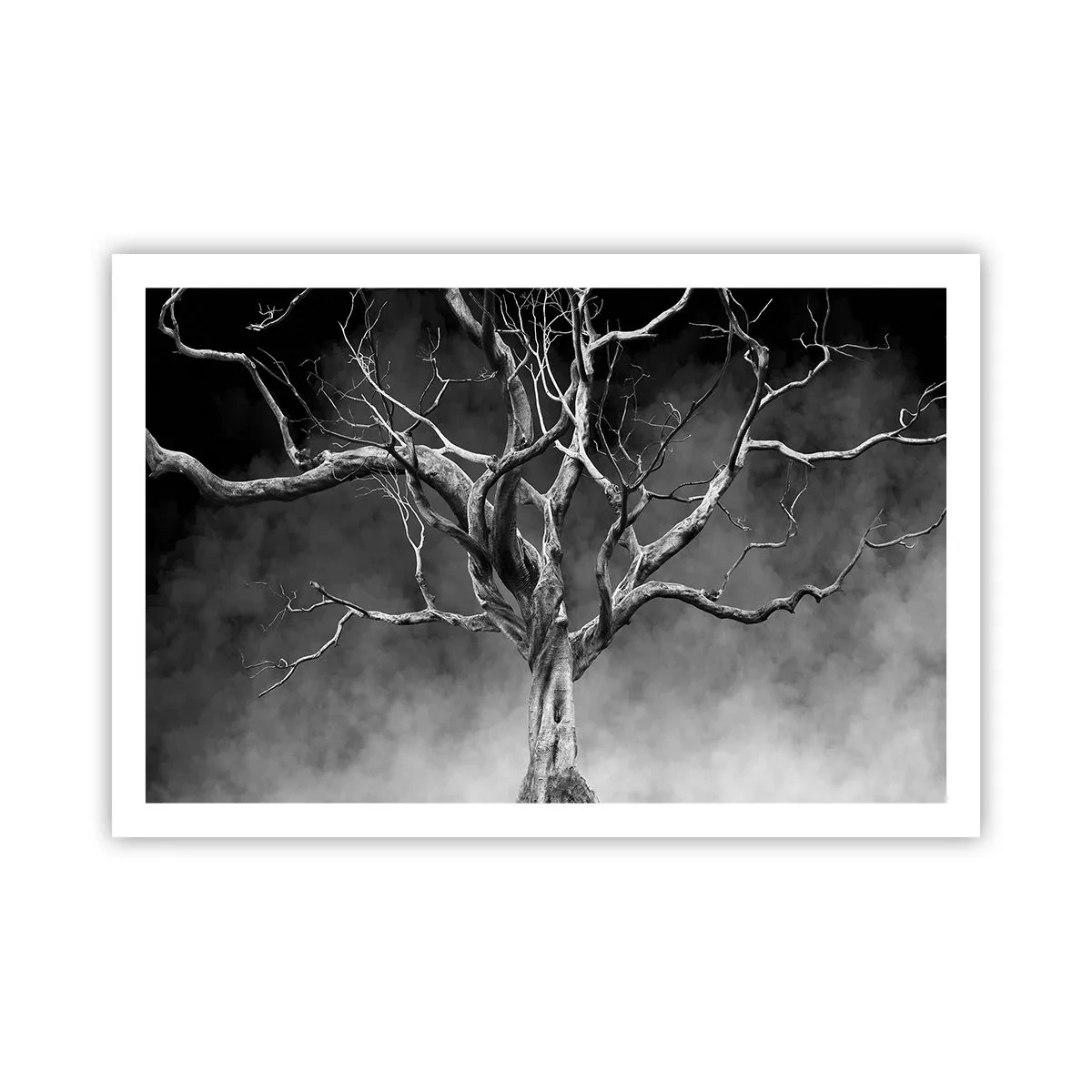 Plakat - Primær og hellig - 91x61 cm