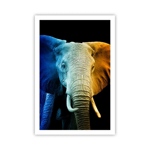 Plakat - Excentrisk, ikke underlig - 61x91 cm