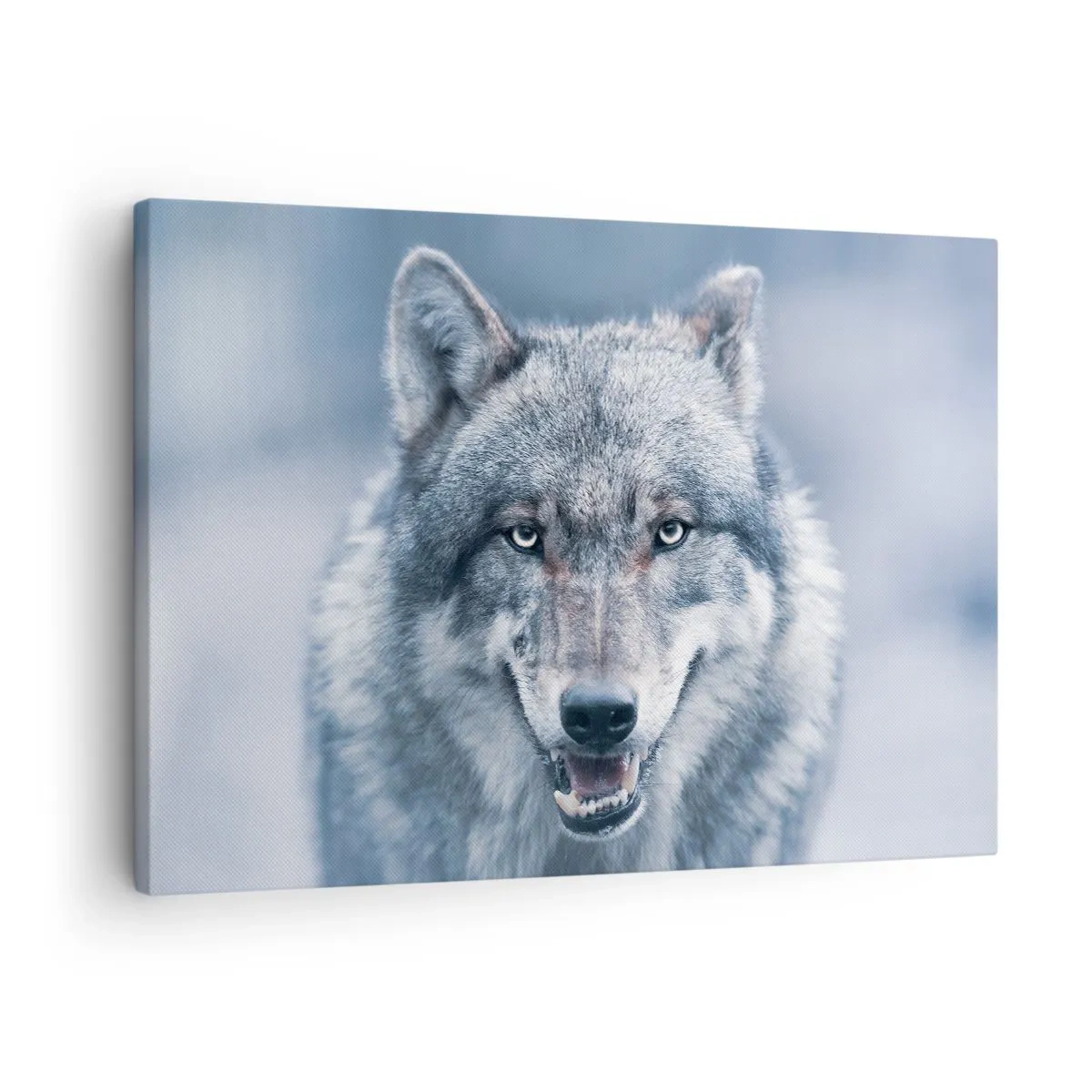 Lærredstryk - Billede på lærred - En ulv med et intenst blik i et vinterlandskab - 70x50cm - Vil du tage udfordringen op? - Moderne vægdekoration til stue og soveværelse ARTTOR