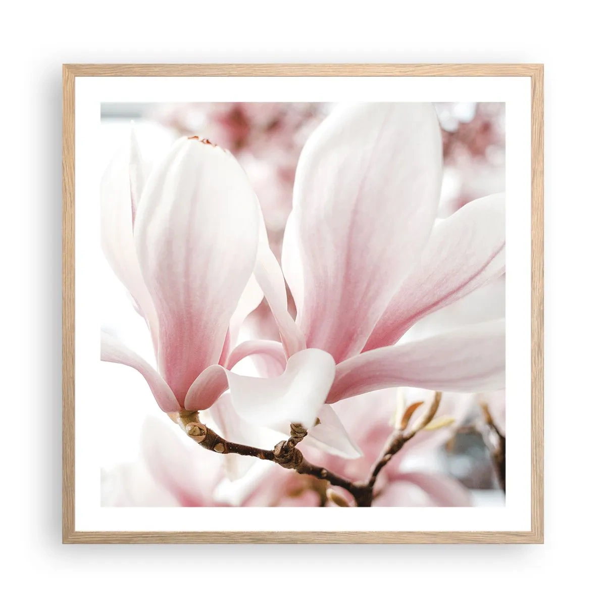 Plakat i ramme af lyst egetræ - Ømhedens umådelighed - 60x60 cm