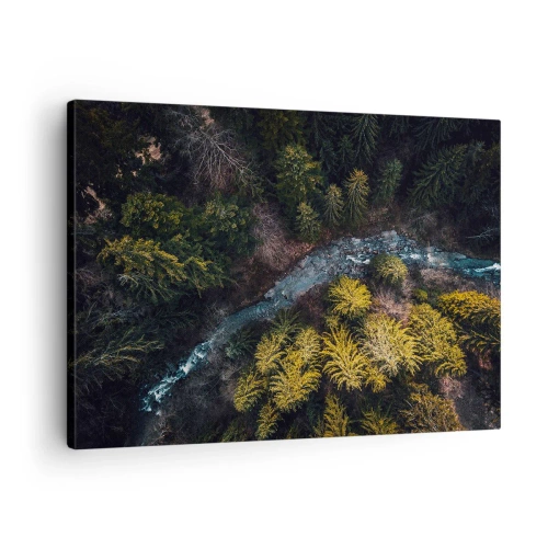 Lærredstryk - Billede på lærred - Udsigt ovenfra over en skov med en snoet flod - 70x50cm - Hurtigt, stadig hurtigere - Moderne vægdekoration til stue og soveværelse ARTTOR