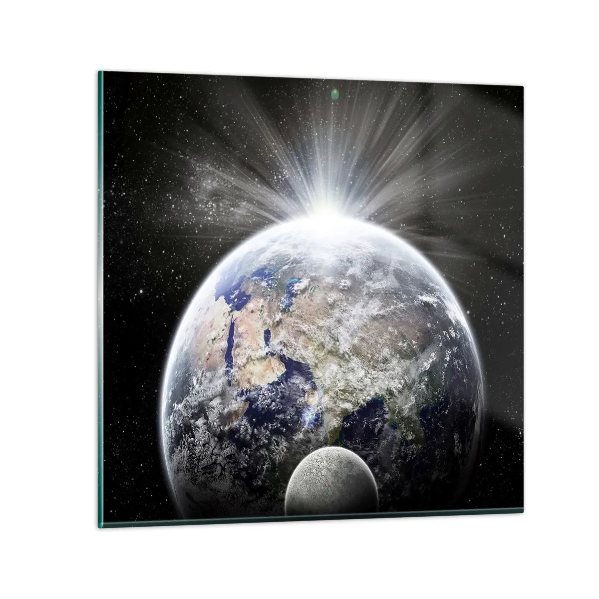 Billede på glas - I fuldt blus - 70x70 cm