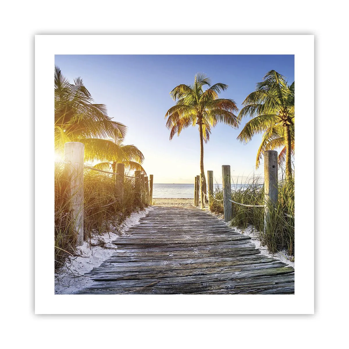 Plakat - Direkte til paradis - 50x50 cm