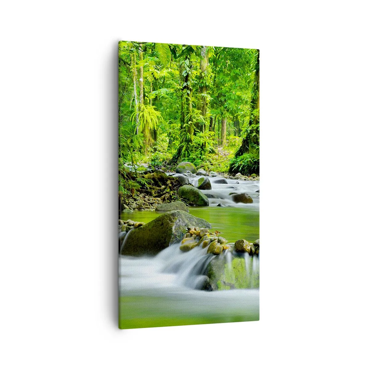 Lærredstryk - Billede på lærred - Svøm i et hav af grønt - 55x100 cm
