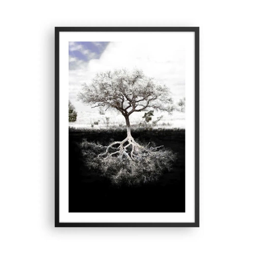 Plakat i sort ramme - Et minimalistisk træ med et synligt rodsystem - 50x70cm - Opdagelse af verdens natur - Moderne vægdekoration til stue og soveværelse ARTTOR
