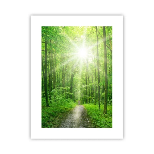 Plakat - Grøn katedral - 30x40 cm