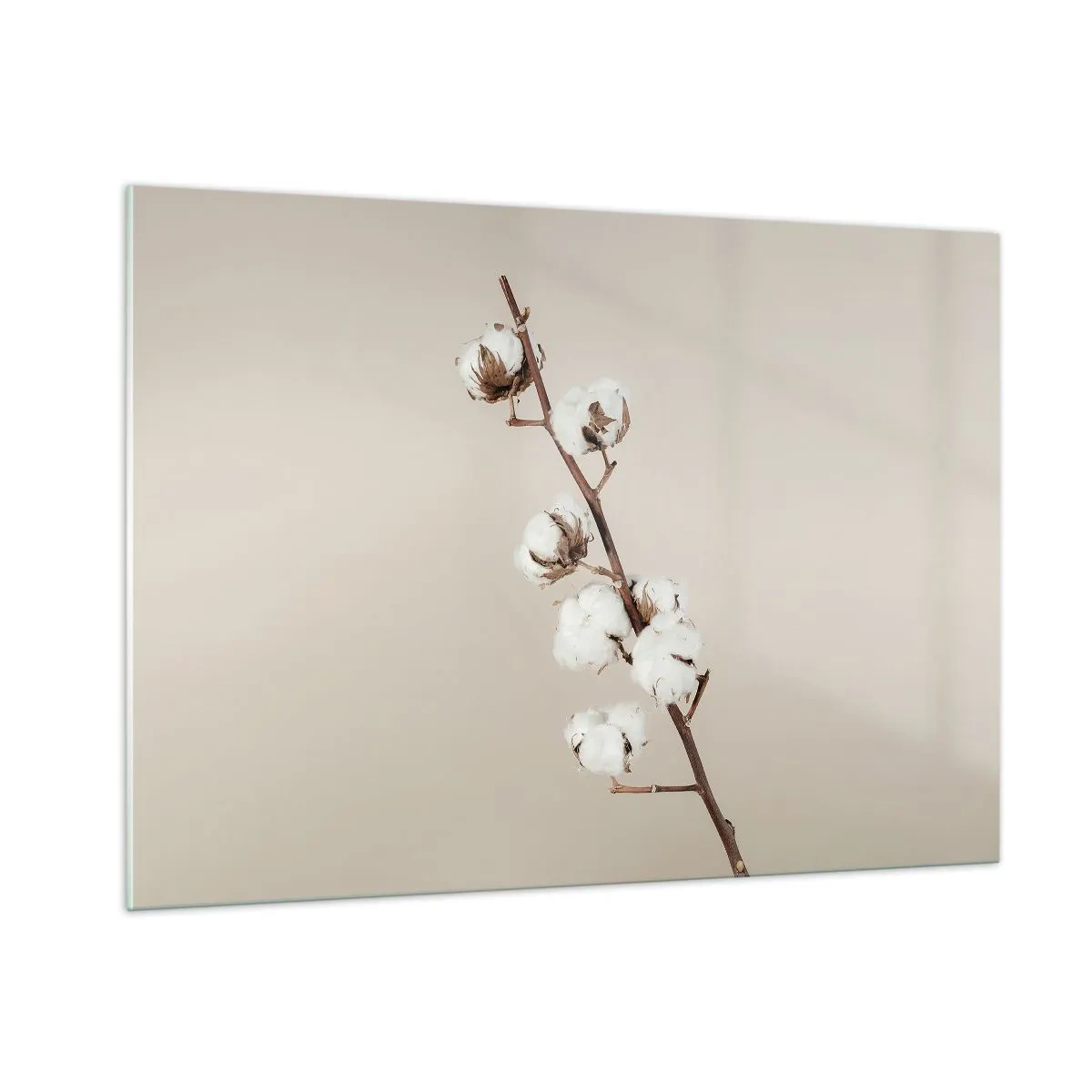 Billede på glas - Ved kilden til blødhed - 100x70 cm