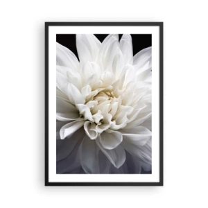 Plakat i sort ramme - Nærbillede af en hvid dahlia mod en mørk baggrund - 50x70cm - Morgenbrud - Moderne vægdekoration til stue og soveværelse ARTTOR