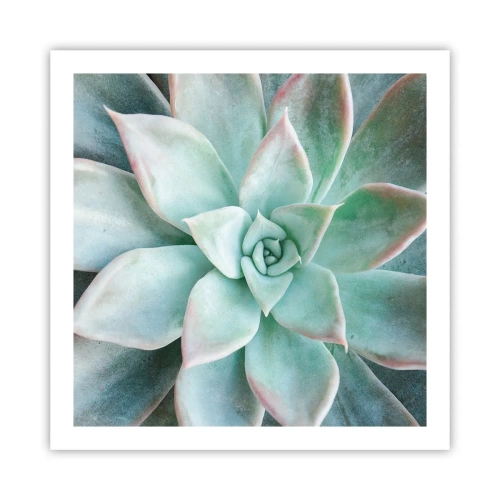 Plakat - Hjertet af ørkenen - 60x60 cm