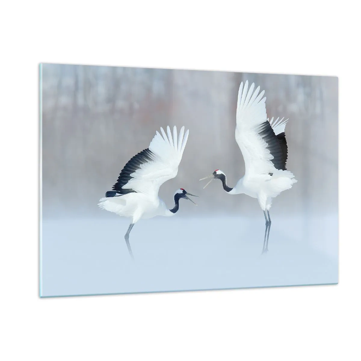 Billede på glas - Danser i tågen - 120x80 cm