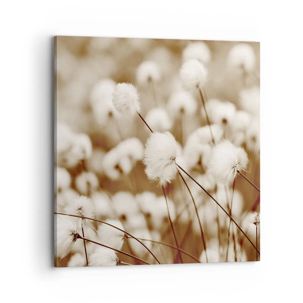 Lærredstryk - Billede på lærred - Fyldig mark - 70x70 cm