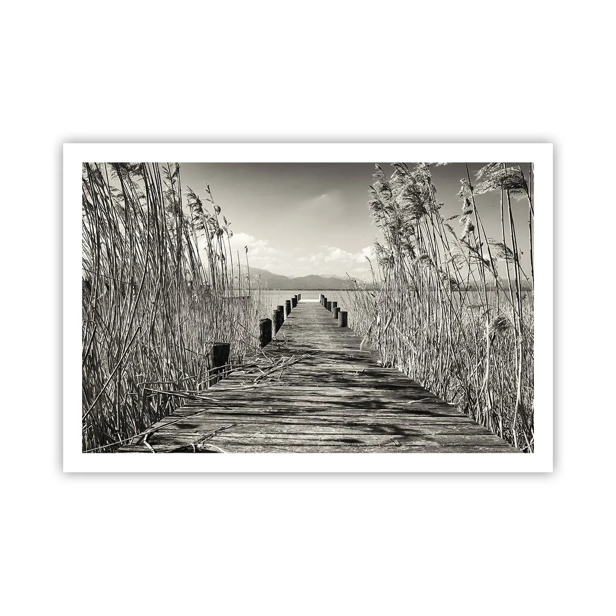 Plakat - I græssernes fred - 91x61 cm