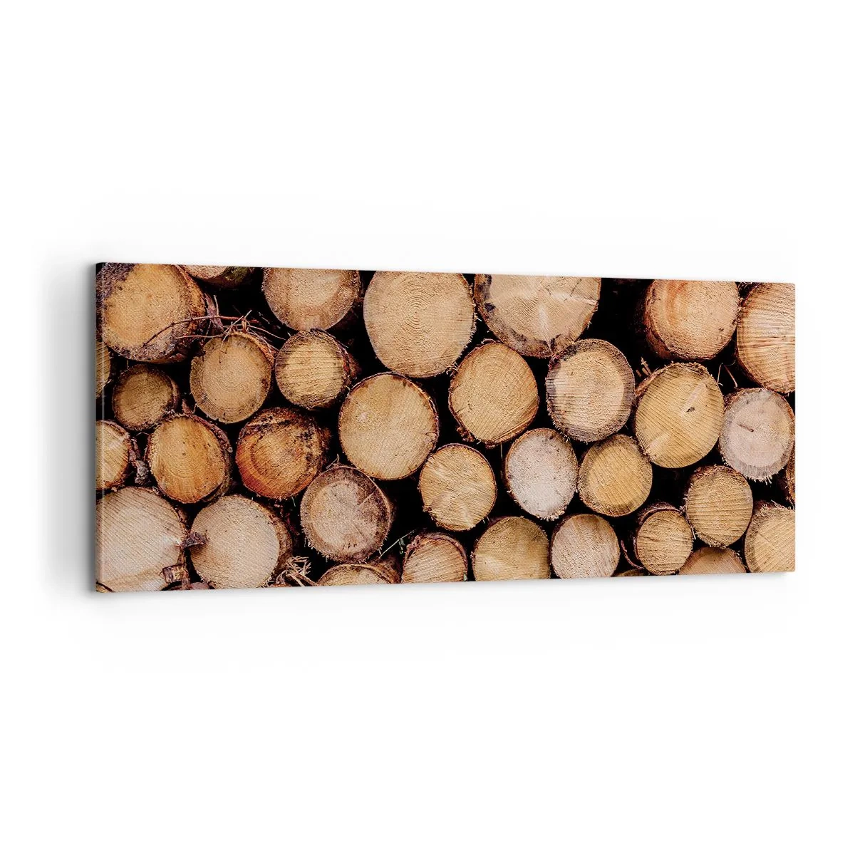 Lærredstryk - Billede på lærred - En ny begyndelse - 100x40 cm