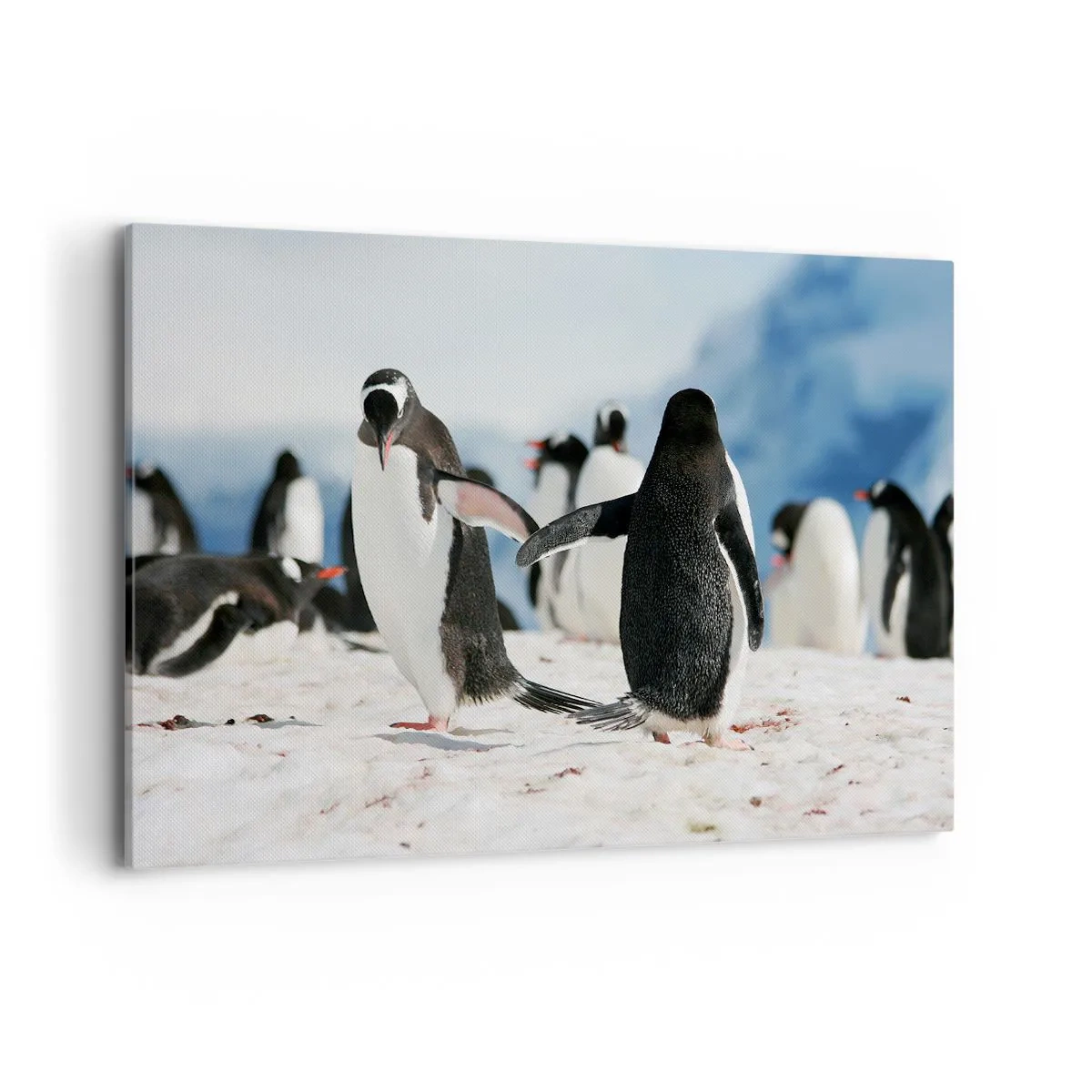 Lærredstryk - Billede på lærred - Danser i sneen - 120x80 cm