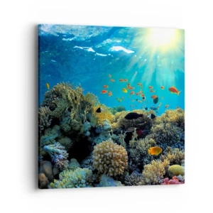 Lærredstryk - Billede på lærred - Undervandsskatte - 40x40 cm