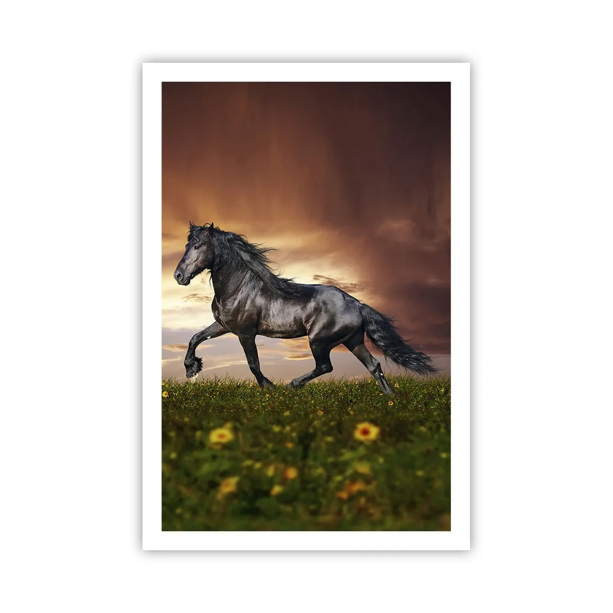 Plakat - Sort prins - 61x91 cm