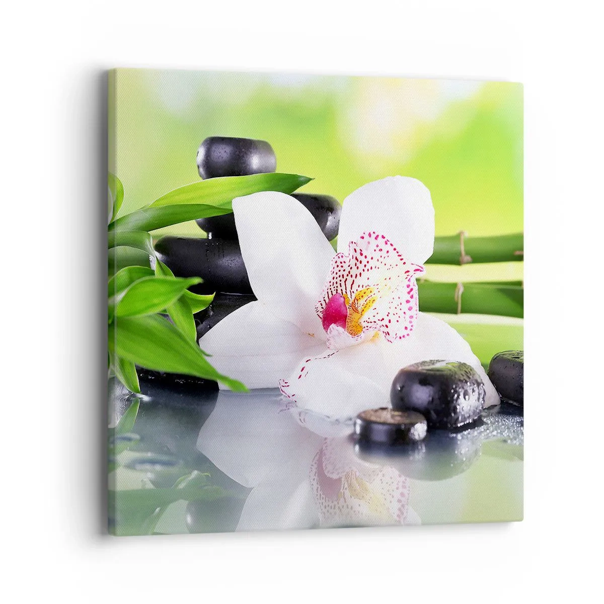 Lærredstryk - Billede på lærred - Kølig friskhed - 40x40 cm