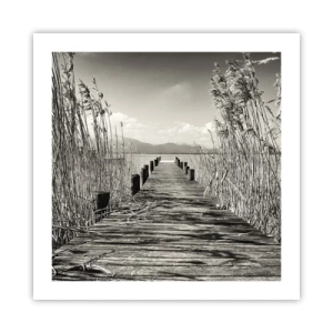 Plakat - I græssernes fred - 50x50 cm