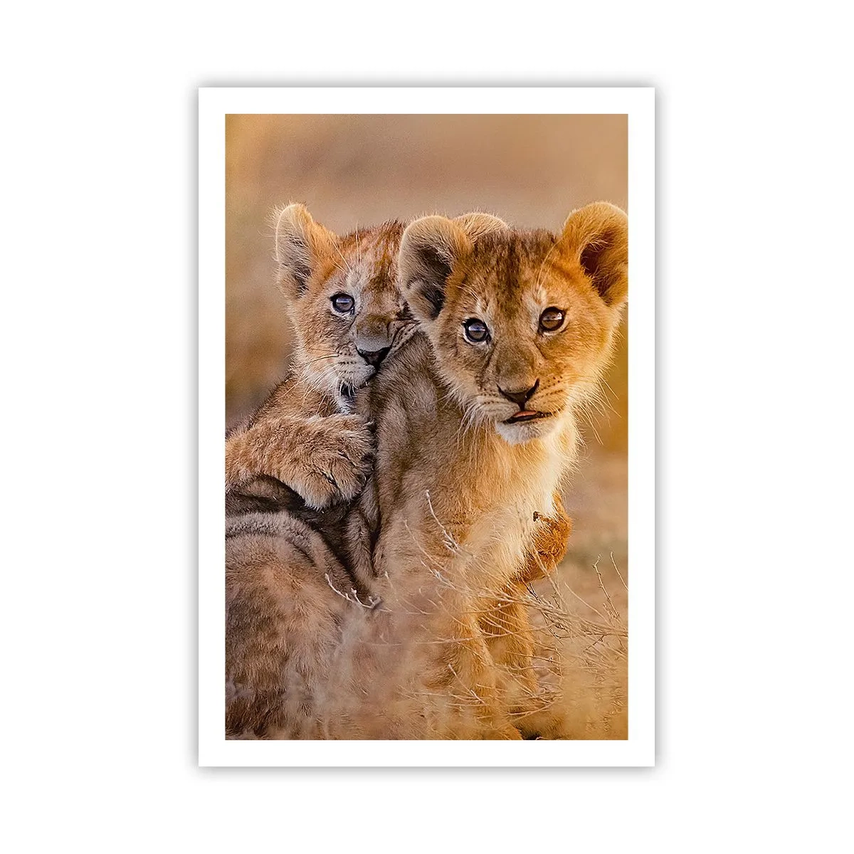 Plakat - Forstyr ikke! Vi har det sjovt - 61x91 cm