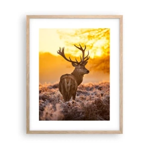 Plakat i ramme af lyst egetræ - Kongen af efterårsskoven - 40x50 cm