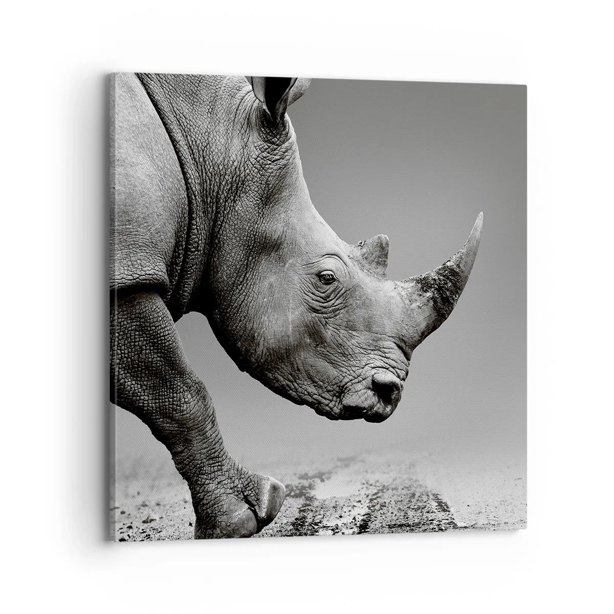 Lærredstryk - Billede på lærred - En ustoppeli - 70x70 cm